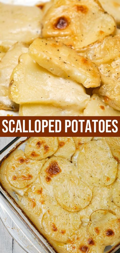 Scalloped Potatoes With Chicken Broth, Oven Baked Sliced Potato With Cheese, Sliced Loaded Potatoes In The Oven, Ranch Scalloped Potatoes Easy Recipes, Heavy Cream Potatoes, Scalloped Potatoes With Carnation Milk, Scalloped Potatoes Using Frozen Hashbrowns, No Cheese Scalloped Potatoes Easy, No Fail Scalloped Potatoes