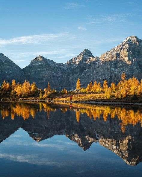 Fall in the Canadian Rockies is unmatched 🧡 Have you ever experienced fall in the Rockies? 🍂 Happy Canada Day, The Rockies, Travel Outdoors, Canada Day, Canadian Rockies, Banff National Park, Hiking Outfit, Pretty Pictures, Rocky