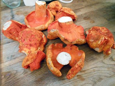 Lobster Mushroom Recipes, Lobster Mushroom, Fried Lobster, Foraging Recipes, Fresh Lobster, Beer Battered, Mushroom Dish, How To Cook Lobster, Beer Batter