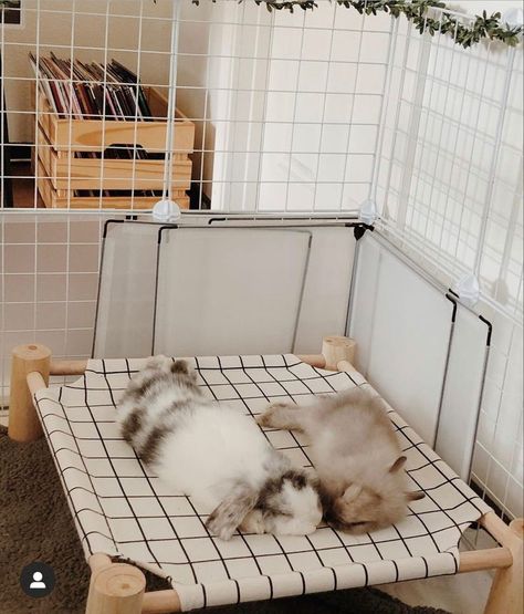 Homemade Hay Feeder For Rabbits, Cute Rabbit Enclosure, Pet Bunny Ideas, Bunny Inside House, Bunny Room Aesthetic, Bunny House Diy, Bunny Homes Indoor, Cute Bunny Cage Ideas, Indoor Rabbit Cage Ideas