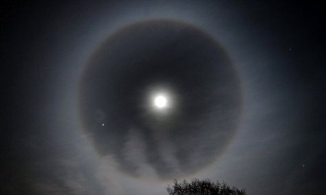 Observers around the UK snapped images of a 'moon ring' last night (picture shown). The amazing phenomenon occurs when light from the moon reflects off ice crystals in the atmosphere. Cirrostratus Clouds, Moon Halo, Ring Around The Moon, Lunar Moon, Art Assignments, Ice Crystals, Night Pictures, Light Ring, Moon Ring