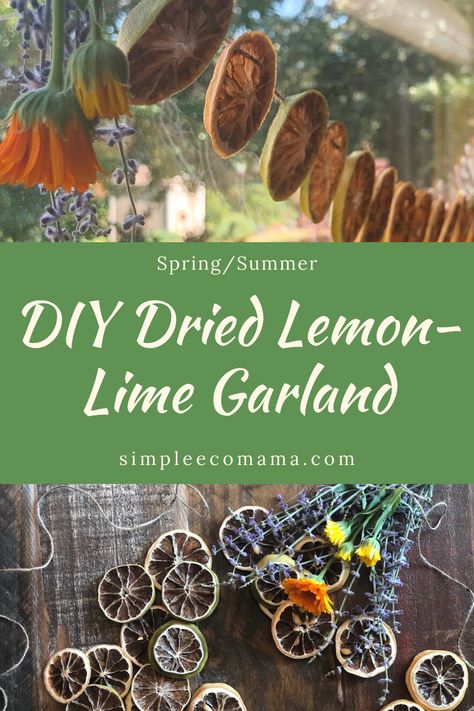 Diy Lemon Garland, Lemon Garland, Dried Lemon Garland, Lemon Crafts Diy, Popcorn Garland, Lemon Crafts, Dried Lemon, Dried Oranges, Kids Crafting