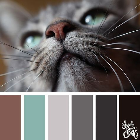 The Color Catalog By SRC on Instagram: “That green is beautiful!⁠ ⁠ #colorpalette⁠ #colourpalette⁠ #colorpallet⁠ #colorpallete⁠ #colorpalettechallenge” Color Cube, Adult Coloring Books Printables, Color Palette Challenge, Color Catalog, February 22, Colour Inspiration, Exotic Birds, Woodland Creatures, Colour Palettes