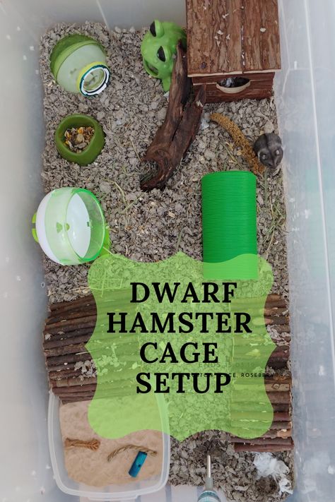 Simple Hamster Cage Ideas, Hamster Cage Ideas, Hamster Diy Cage, Hamster Stuff, Hamster Diy, Hamster Life, Pets At Home, Hamster Care, Hamster Cages