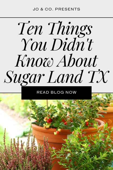 Hi friend, are you looking to learn more about Sugar Land? Well I have put together 10 facts on Sugar Land TX I am sure you are going to love. If you are looking for more information about different suburbs, check out my Youtube channel. Sugar Land Texas, Hi Friend, Weekend Activities, Sugar Land, Best Places To Live, My Youtube Channel, Weekend Getaways, Youtube Channel, To Learn