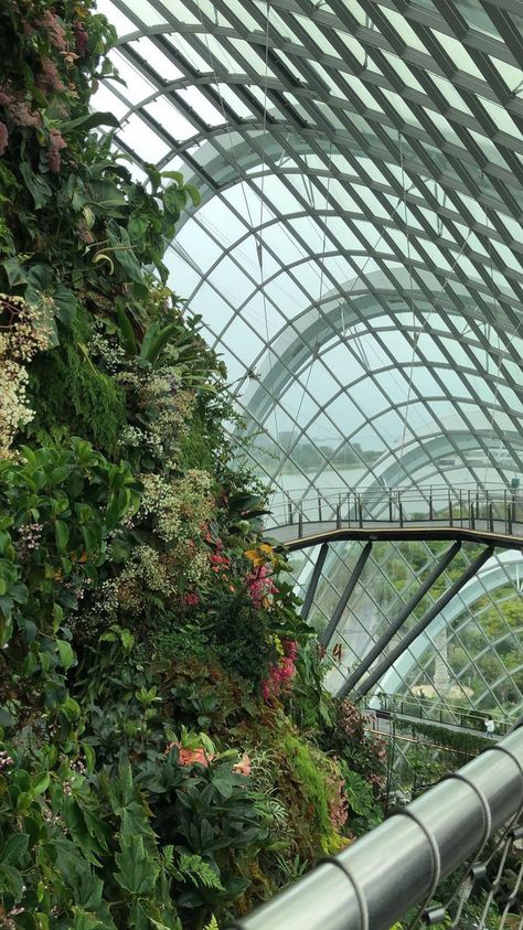 Singapore Fake Story, Singapore Ig Story, Singapore Aesthetic, Singapore Vacation, Singapore Trip, Singapore Tour, Singapore Photos, Visit Singapore, Singapore Travel