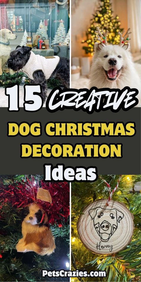 Get into the festive spirit with these 15 creative dog Christmas decoration ideas! Perfect for pet lovers. Puppy Christmas, Christmas Decoration Ideas, Christmas Ornaments Diy, Dog Christmas, Festive Holiday, Fun Ideas, Pet Lovers, Ornaments Diy, Holiday Celebration