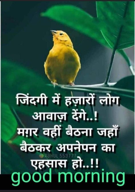 Good Morning Motivation Hindi, Good Morning Hindi Messages, Good Morning Motivational Messages, Motivation Hindi, Good Morning Motivation, Good Morning Flowers Rose, Good Morning Spiritual Quotes, Friends Images, Spiritual Knowledge