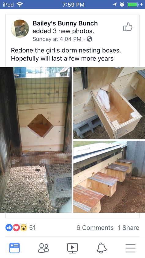 Rabbit Nest Box Diy, Rabbit Nesting Box Ideas, Rabbit Nesting Boxes, Diy Rabbit Nesting Box Ideas, Rabbit Nesting Box Diy, Rabbit Digging Box Ideas, Outdoor Rabbit Enclosure Diy, Rabbit Barn Ideas, Rabbit Breeding Setup