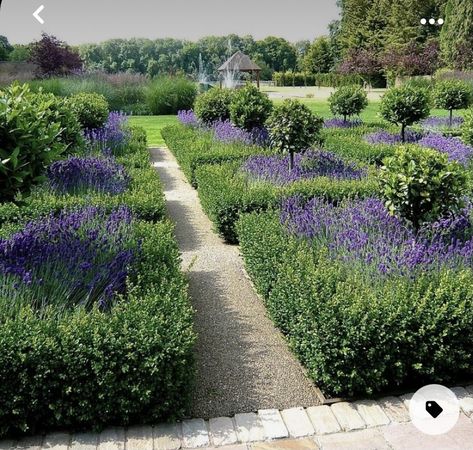 English Landscaping, Formal Garden Design, Parterre Garden, Boxwood Garden, Garden Estate, Lavender Garden, Formal Garden, Garden Deco, Formal Gardens