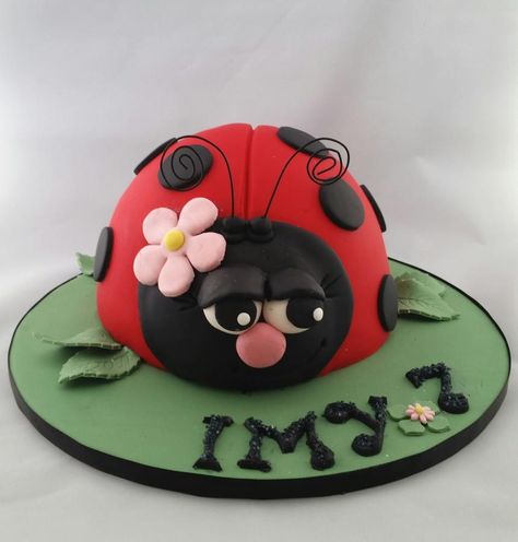 Sleepy Bug - Cake by BakedbyBeth Ladybird Cake, Ladybug Cakes, Bug Cake, Ladybug Cake, Owl Cakes, Cinderella Cake, Unique Birthday Cakes, Ladybug Birthday, Ladybug Party