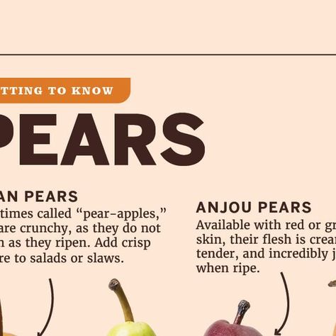 Cook's Country on Instagram: "There are dozens of pear varieties, here is a quick breakdown of the most common grocery store types: Asian, Anjou, Bartlett, and Bosc. 🍐" Pear Varieties, Grocery Store, Pear, Chef, Salad, Fruit, On Instagram, Instagram