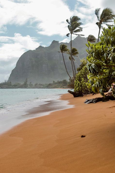 10 of the Best Beaches on Oahu's North Shore | Ka'a'awa Beach Park #simplywander #kaaawabeach #northshore #oahu #hawaii Kaaawa Beach Hawaii, Kahala Beach Oahu, Best Beaches In Oahu, Bellows Beach Hawaii, Best Beaches Oahu, Oahu Hawaii Beaches, Waimanalo Beach, Ocean Shore, Beach Shore