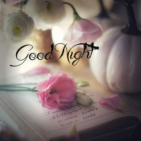 10 Beautiful Good Night Messages For 2022 Beautiful Good Night Messages, Good Night Cards, Beautiful Good Night Quotes, Good Night Beautiful, Good Morning Greeting Cards, Night Beautiful, Beautiful Good Night Images, Good Morning Flowers Quotes, Good Night Flowers