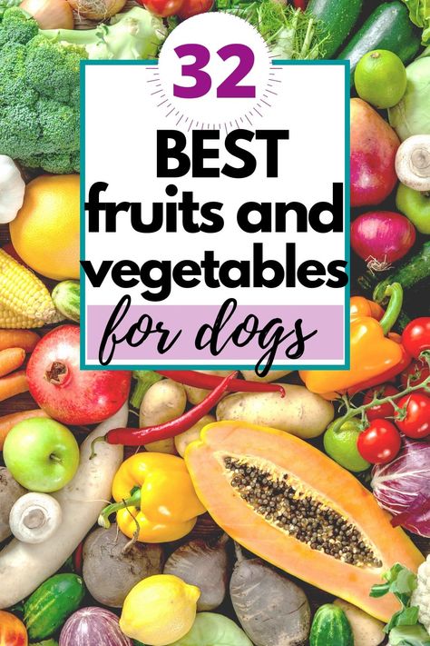 32 of the best fruits and vegetables for dogs. Fruits Good For Dogs, Fruits And Vegetables For Dogs, Dog Safe Vegetables, Fruit Dogs Can Eat, Dog Vegetables, Fruits For Dogs, Foods Dogs Can Eat, Diy Dog Food, Make Dog Food