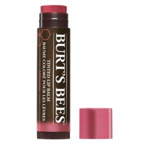 20 best Lip Balms in India and the USA with SPF (Budget-friendly) Burts Bees Lip Balm, Burts Bees Lip, Spf Lip Balm, Best Lip Balm, Moisturizing Lip Balm, Beauty Products Drugstore, Tinted Lip Balm, Burt's Bees, Lip Balms