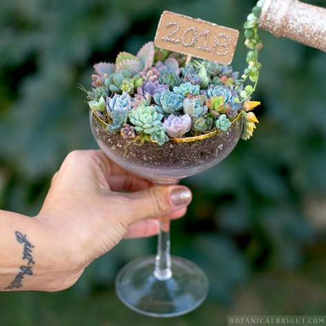 Terrarium Ideas Unique, Landscape Design Backyard, New Years Cocktail, Garden Bonsai Tree, Succulents In Glass, Strings Of Pearls, Backyard Landscape Design, Gardening Design Diy, Design Backyard