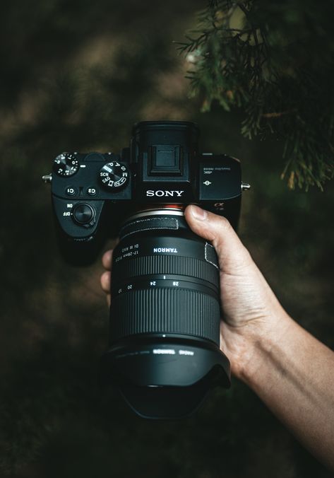 Sony Camera A7iii, Camera Sony A7, Sony A7 Iv Photography, Sony Alpha 7 Iv, Sony A7iv Photography, Sony Camera Photography, Sony A7iii Photography, Sony A7iv Camera, Sony A7 Iv