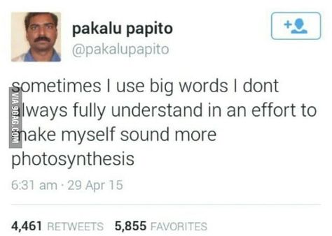 31 Hilarious Pakalu Papito Tweets From The Legendary Indian Gas Station Clerk Himself - Memebase - Funny Memes Xavier Tweets, Pakalu Papito, Funny Twitter Posts, Funny Text Conversations, Big Words, Text Conversations, Twitter Quotes Funny, Fallen In Love, Funniest Memes