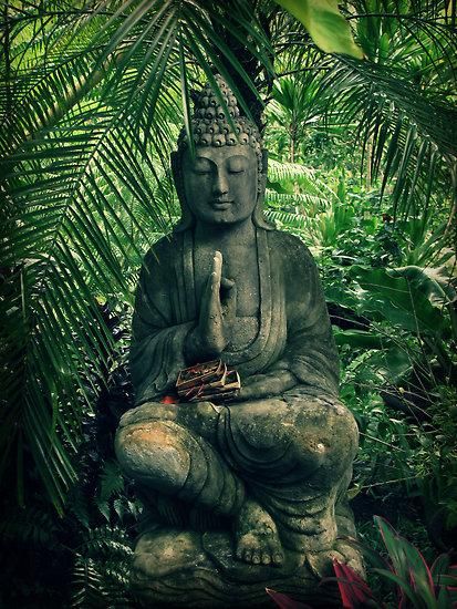 Gautam Buddha Image, Yin En Yang, Buddha Garden, Meditation Garden, Gautama Buddha, Zen Meditation, Buddha Image, Palau, Tropical Garden