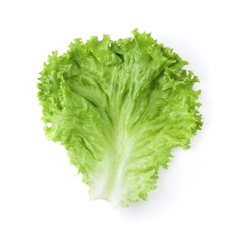 Lettuce leaves isolated on white backgro... | Premium Photo #Freepik #photo #lettuce #lettuce-leaf #food-leaf #green-vegetables Lettuce Background, Unicorn Wallpaper Cute, Head Of Lettuce, Unicorn Wallpaper, Lettuce Leaves, Shredded Lettuce, Green Vegetables, Leaf Green, Romaine Lettuce