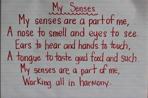 5 Senses Preschool, Five Senses Preschool, Ingles Kids, 5 Senses Activities, Senses Preschool, My Five Senses, Senses Activities, Preschool Craft, 5 Senses