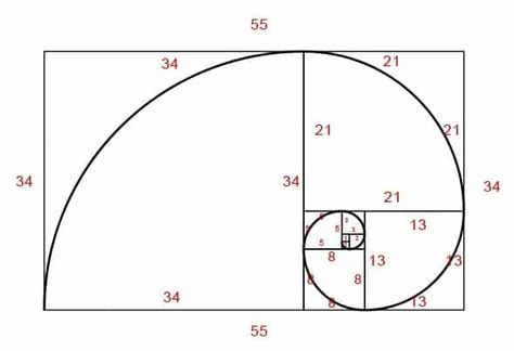 Golden Ratio Building, Fibonacci Quilt, Gothic Geometry, Fibonacci Golden Ratio, Villa Savoye, Metal Bending Tools, Fibonacci Spiral, Metal Bending, Architecture Drawing Art