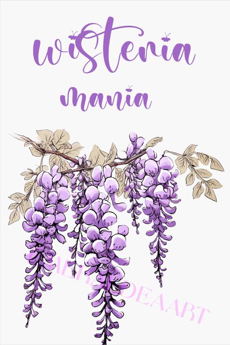 wisteria mania - artwork, drawing, doodle, art print, sticker, pillow, mug Wisteria Drawing Reference, Wisteria Doodle, Bridgerton Tattoo Ideas, Wisteria Drawing, Wisteria Art, Dangling Flowers, Cafe Frases, Flower Bouquet Drawing, Wisteria Purple