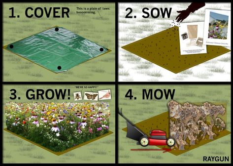 How To Make A Wildflower Meadow, Wildflower Meadow Front Yard, Wildflower Hill Landscaping, Wild Flower Patch In Yard, Corner Wildflower Garden, Wildflower Lawn Yards, Wildflower Garden Edging, Wildflower Planting, Wildflower Garden Along Fence