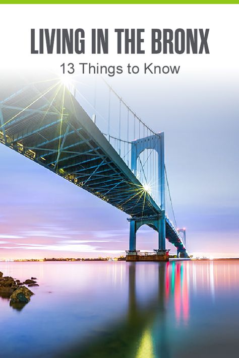 Things To Do In The Bronx New York City, Extra Space Storage, The Bronx New York, Bronx New York, Bronx Zoo, Park In New York, Space Storage, Family Friendly Activities, Melting Pot