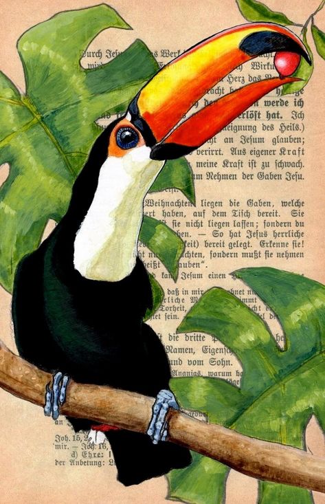 Jungle Painting Acrylic, Jungle Art Tropical, Tropical Bird Painting, Tropical Drawing, Toucan Painting, Toucan Illustration, Avocado Painting, Toucan Art, Toco Toucan