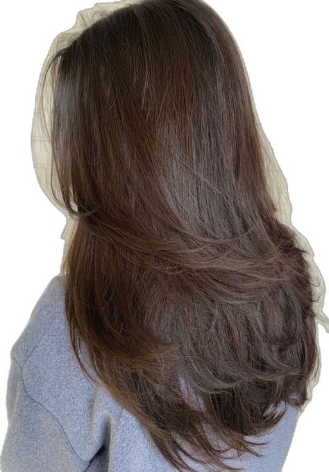 Triangle Long Layers, Long Haircuts Face Framing, Light Layers Haircut Long Curtain Bangs, Layers Brown Hair Long, Long Hair Blended Layers, Layers On Dark Brown Hair, Medium Brown Hair With Long Layers, Brown Hair With Layers And Face Framing, Long Haircuts For Square Faces