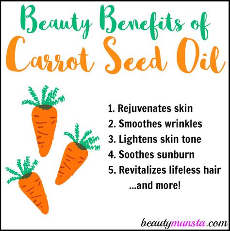 If there’s one beauty oil that should definitely be in your beauty pantry, it’s carrot seed essential oil. It’s one of a kind since it has gorgeous beauty benefits! Carrot seed essential oil (where to get it) is derived from steam distillation of carrot seeds of the Wild Carrot plant. Its scientific name is Daucus … Essential Oil For Skin, Coconut Oil Remedies, Coconut Oil Moisturizer, Health Coconut Oil, Carrot Seed Essential Oil, Carrot Benefits, Coconut Oil Lotion, Coconut Oil Hair Growth, Carrot Oil