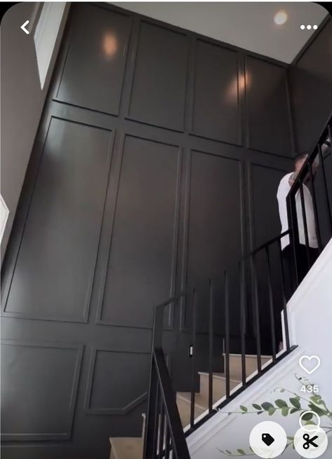 Black Stair Accent Wall, Feature Wall Stairwell, Black Accent Wall Stairwell, Accent Wall Down The Stairs, Wainscoting Ideas Entryway Stairways, Wood Paneling Staircase Wall, Accent Walls Stairs, Wood Accent Wall Staircase, Feature Wall On Stairs