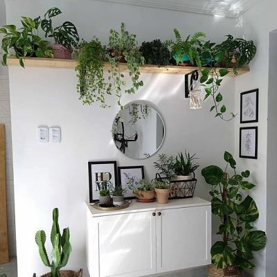 Bedroom Plants, Plant Decor Indoor, House Plants Decor, Room With Plants, House Plants Indoor, Room Inspiration Bedroom, Room Aesthetic, Aesthetic Room Decor, Aesthetic Room