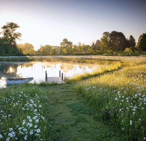 Farm Pond, Natural Swimming Ponds, Future Farms, Farm Lifestyle, Swimming Pond, Pond Landscaping, Natural Pond, Dream Life House, Natural Swimming Pool