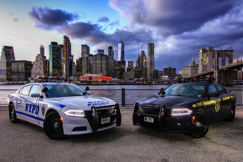 New York, NYPD and New York State Police Dodge Chargers in New York City. Cop Aesthetic, Nypd Vehicles, Police Wallpaper, Dodge Chargers, Police Truck, California Highway Patrol, Cop Cars, Police Patrol, Dodge Charger Srt