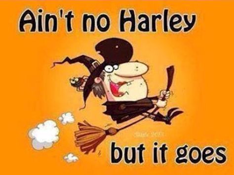 Happy Halloween Quotes Funny, Funny Halloween Pictures, Happy Halloween Gif, Happy Halloween Quotes, Happy Halloween Funny, Happy Halloween Pictures, Halloween Humor, Funny Day Quotes, Halloween Quotes Funny