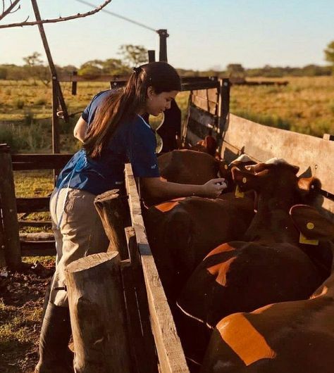 Livestock Veterinarian Aesthetic, Farm Vet, Animal Science Major, Vet School Motivation, Foto Cowgirl, Large Animal Vet, Med Vet, Veterinary School, Vet Medicine