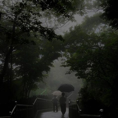 Green Academia, Dark Naturalism, Dark Fairycore, Dark Green Aesthetic, People Walking, Dark Academia Aesthetic, A Rainy Day, Night Aesthetic, Dark Forest