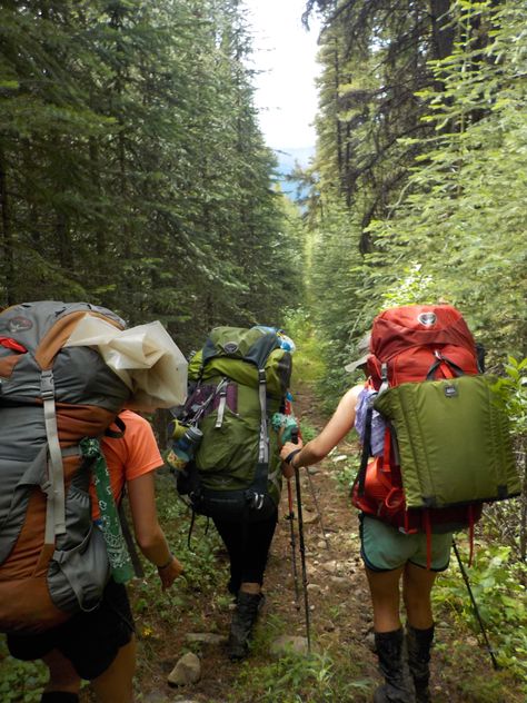 Backpacking The World, Hiking Aesthetic Outfit Summer, Backpacking Photos, Hike Essentials, Hiker Aesthetic, Women Backpacking, Backpacking Aesthetic, Aesthetic Mountains, Hiking Bags