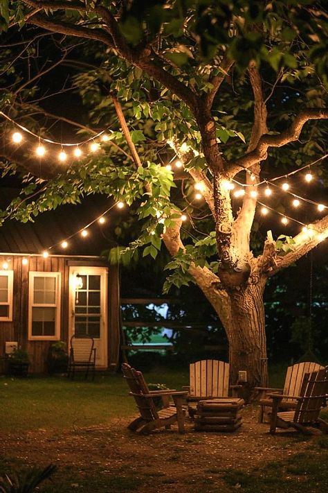 Another lighting inspiration could be stunning for evening weddings. Our editors adore this one for adding elegance. Collect it to your outdoor décor ideas. Backyard With Fairy Lights, Lights On Trees Outside Backyards, Backyard Twinkle Lights, Lights In Trees Backyard, Twinkle Lights Backyard, Back Yard Lights, Backyard Party Lights, Tree Lights Outdoor, Backyard Lights