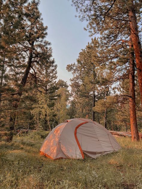 Forest Homescreen, Camping Astethic, Wilderness Aesthetic, Camp Living, Outdoorsy Aesthetic, Aesthetic Camping, Camping Girl, Forest Sounds, Lake Camping