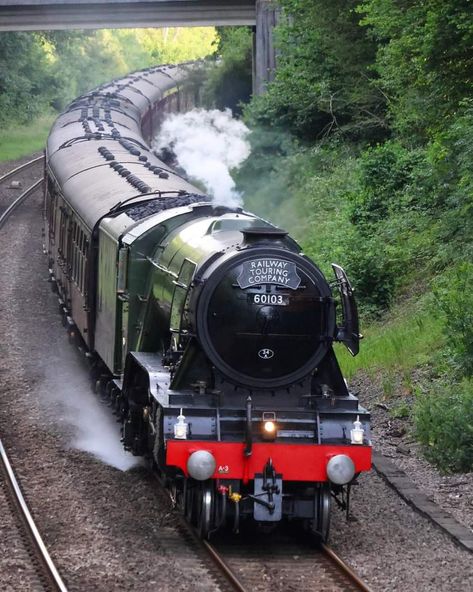 Flying Scotsman Steam Locomotive, Flying Scotsman, Steam Engine Trains, Electric Train, Rolling Stock, Great British, Train Pictures, Ways To Travel, Steam Engine