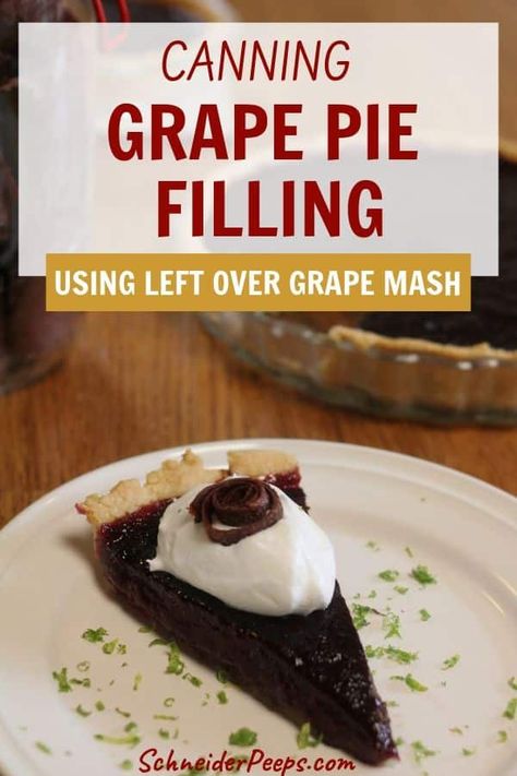 Wondering what to do with the leftover grape mash from making grape jelly or grape juice? Make grape pie filling! Use any grapes - concord, muscadine, mustang, or cultivated grapes to make canned grape pie filling. #PreservingFood #Canning #Homesteading #SimpleLiving Canned Grape Pie Filling, Grape Juice Pie Recipe, What To Do With Muscadine Grapes, What To Do With Grapes From Vine, Grape Pie Filling, Making Grape Jelly, Muscadine Recipes, Grape Pie Recipe, Muscadine Grapes