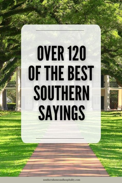 These common Southern sayings, expressions, and slang will have you grinning like a possum eating a sweet potato with all the charm and wit the South is known for! Southern Sassy Quotes Funny, Sassy Country Quotes Southern Sayings Funny, Old Southern Sayings, Southern Phrases Funny, Southern Words And Phrases, Southern Sayings Quotes, Southern Sayings Deep South, Country Slang Southern Sayings, Southern Slang Sayings