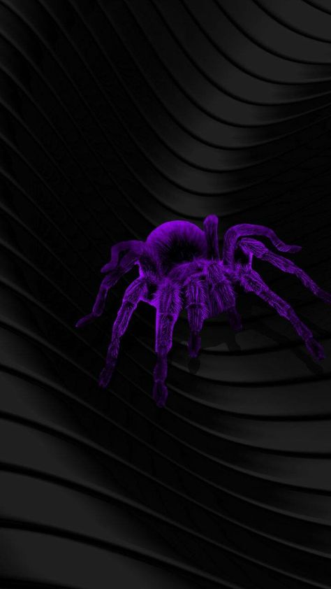 Tarantula Wallpaper, Uicideboy Wallpaper, Marvel And Dc Crossover, Custom Paint Motorcycle, Black Spider, Creepy Crawlies, Halloween Wallpaper, Cellphone Wallpaper, Black Aesthetic