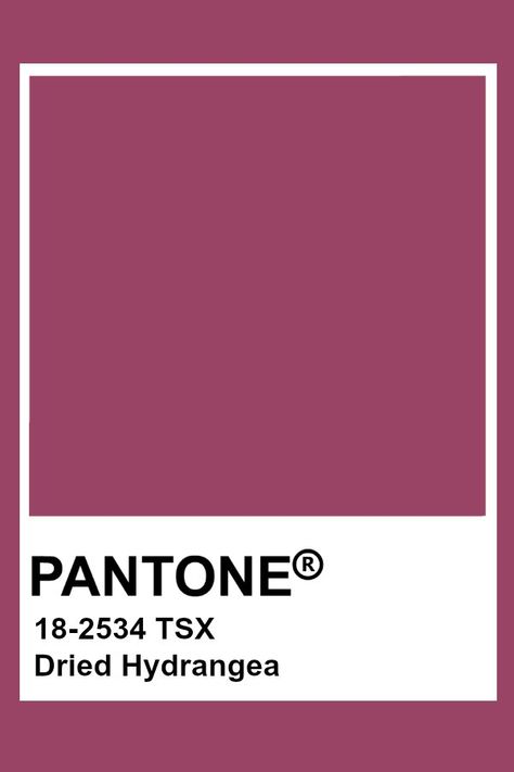 Pantone Dried Hydrangea Pantone Purple Shades, Plum Paint Colors, Pantone Red, Rose Palette, Pantone Color Chart, Pantone Swatches, Pantone Colour Palettes, Dried Hydrangeas, Pantone Colors