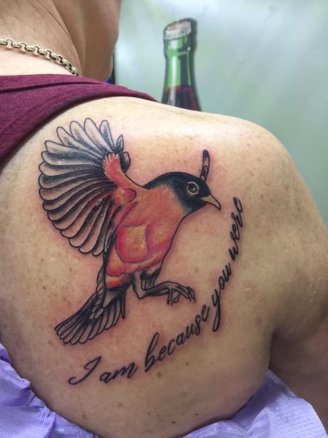 My Robin bird tattoo in honor of my parents Robin Arm Tattoo, Traditional Robin Bird Tattoo, Robin And Flower Tattoo, Robin Tattoo Memorial, Robin Name, Robin Bird Tattoos, Robin Tattoo, Pencil Drawing Images, Name Tattoo Designs