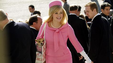 Legally Blonde Movie, Legally Blonde 2, Blonde Movie, Jennifer Coolidge, Rose Byrne, Selma Blair, Girly Movies, Mindy Kaling, Elle Woods